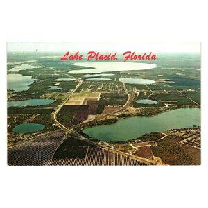 Lake Placid Florida Aerial View Vintage Postcard Natural Scenery Collectible